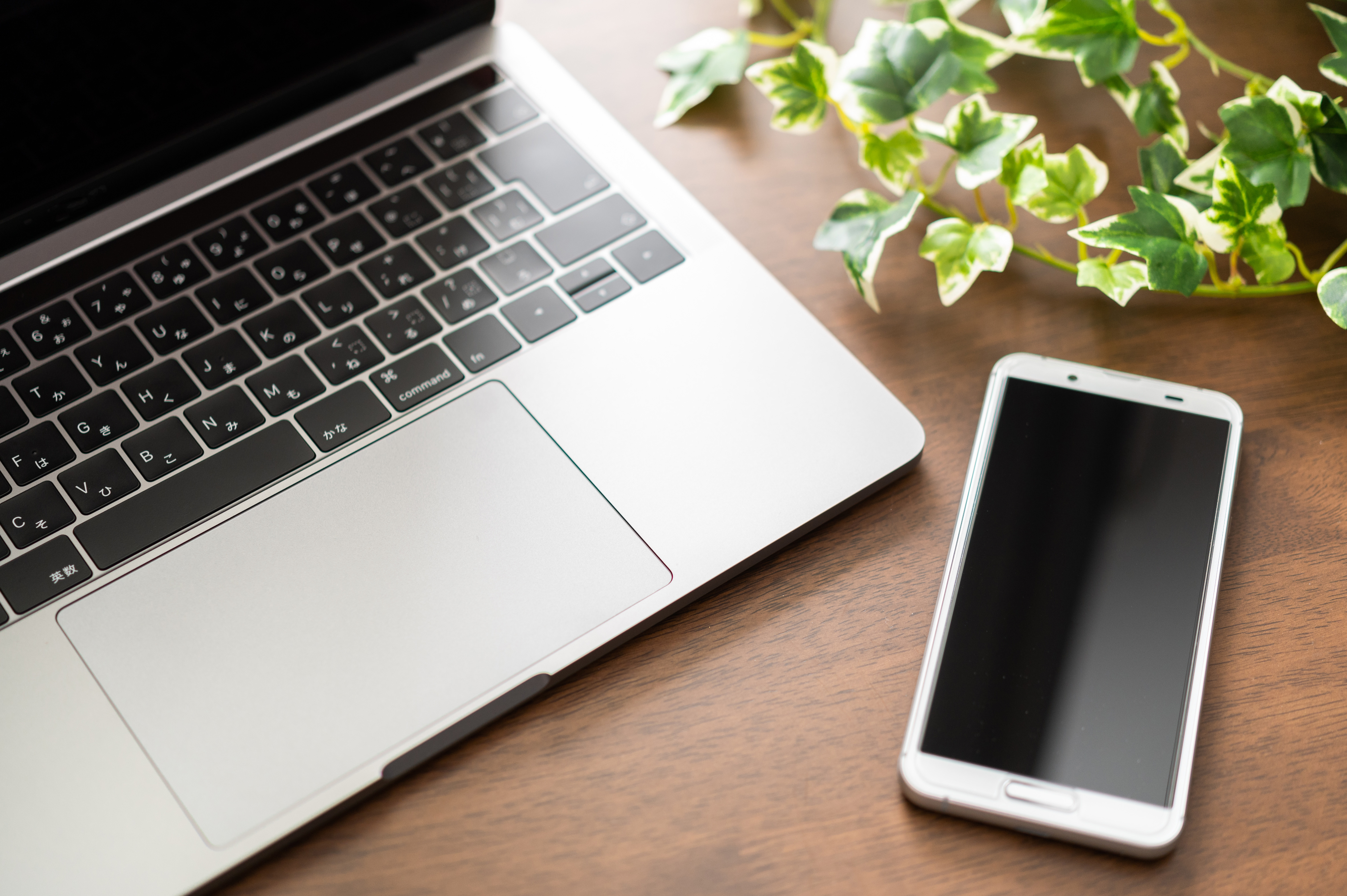 インターネット無料のイメージの画像