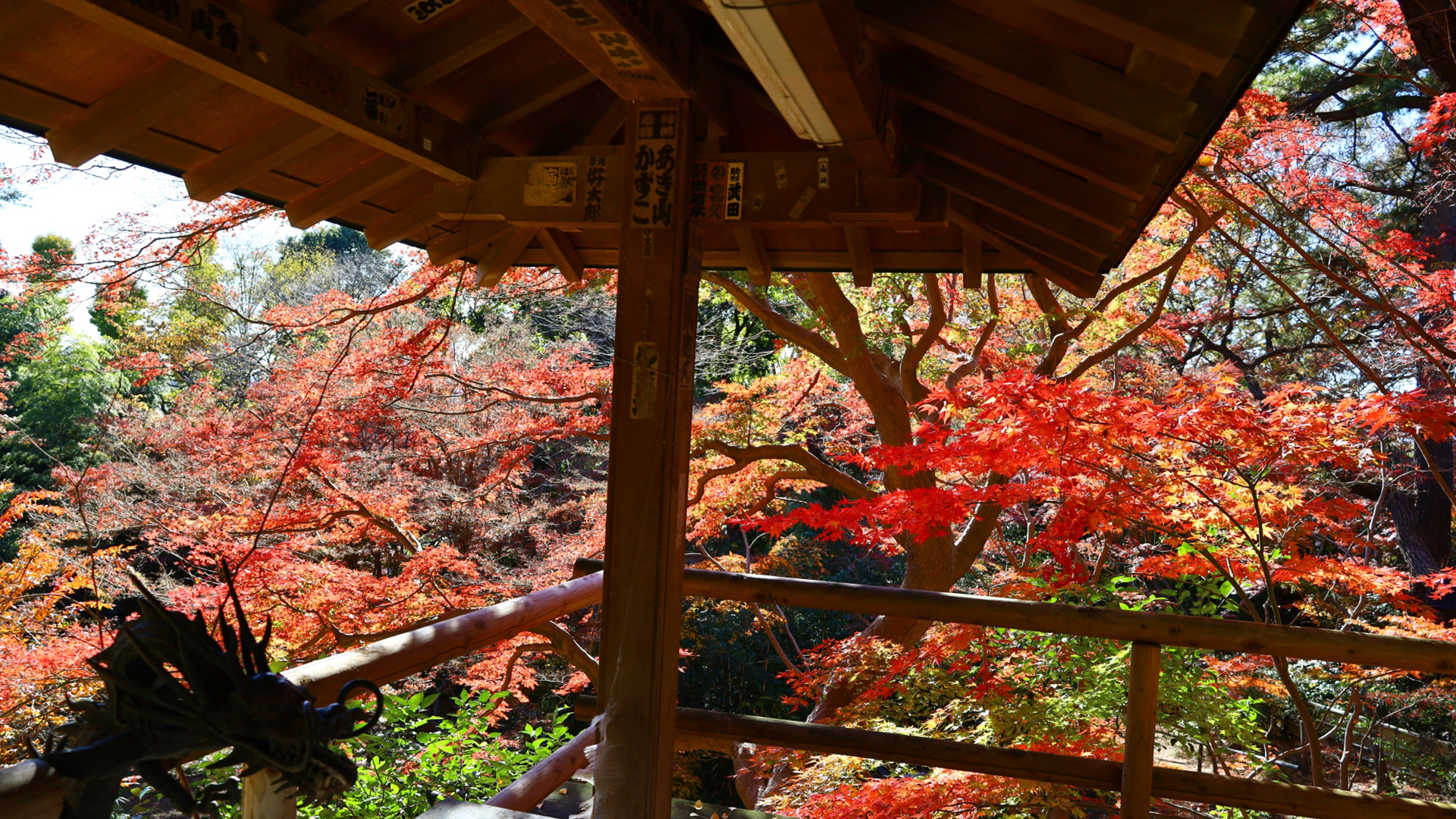 等々力不動尊の画像